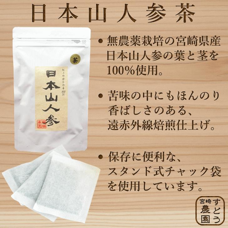 日本山人参茶 ヒュウガトウキ茶 10包 お試し 宮崎県産 無農薬 日向当帰