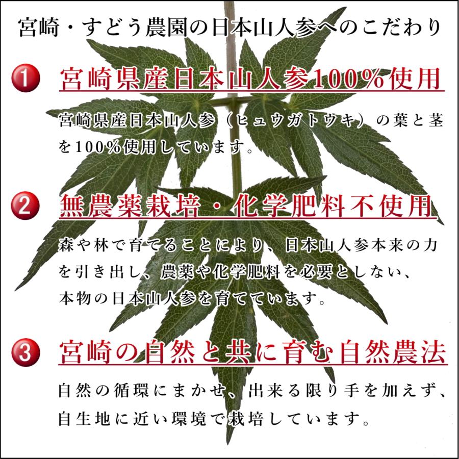 日本山人参茶 ヒュウガトウキ茶 10包 お試し 宮崎県産 無農薬 日向当帰