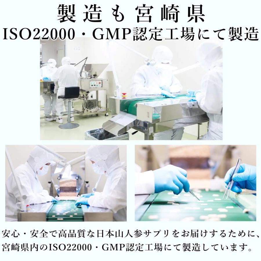 【生産農家直送】日本山人参　サプリ 30粒 ヒュウガトウキ サプリ 日向当帰　サプリ　宮崎県産 無農薬 神の草 |  | 09