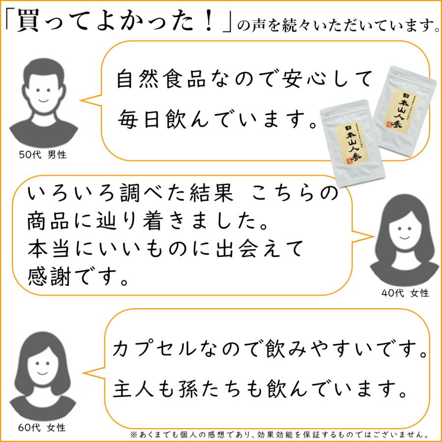生産農家直送】日本山人参 サプリ 30粒 ヒュウガトウキ サプリ 日向当