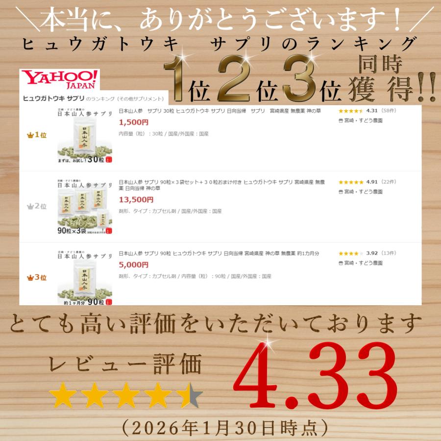 生産農家直送】日本山人参 サプリ 30粒 ヒュウガトウキ サプリ 日向当