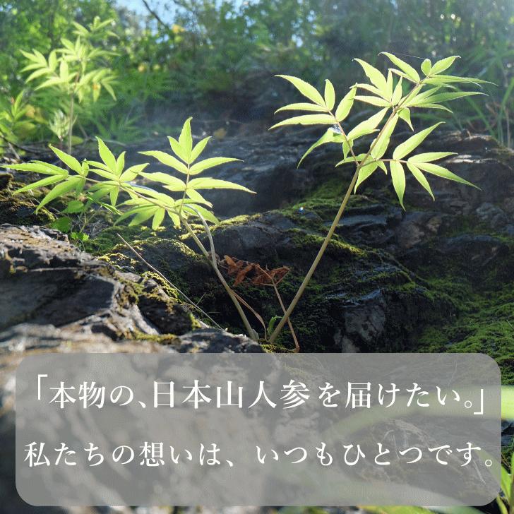 日本山人参　サプリ 30粒 ヒュウガトウキ サプリ 日向当帰　サプリ　宮崎県産 無農薬 神の草｜sudoufarm｜04