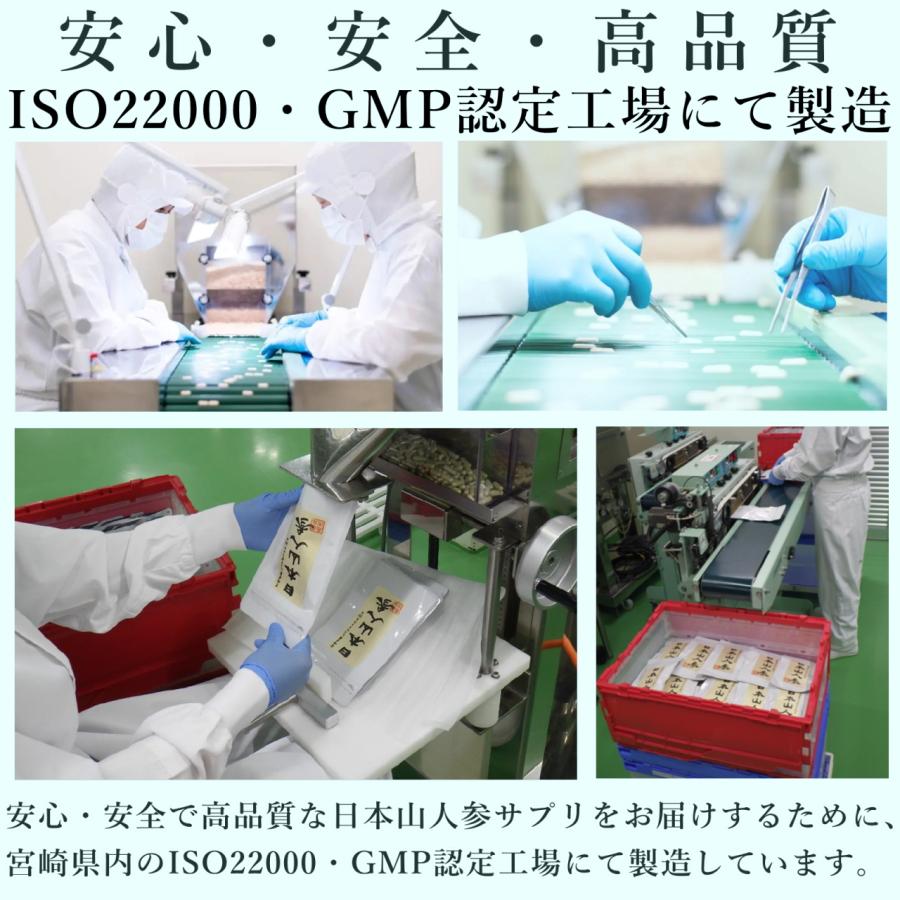 生産農家直送】日本山人参 サプリ 30粒 ヒュウガトウキ サプリ 日向当