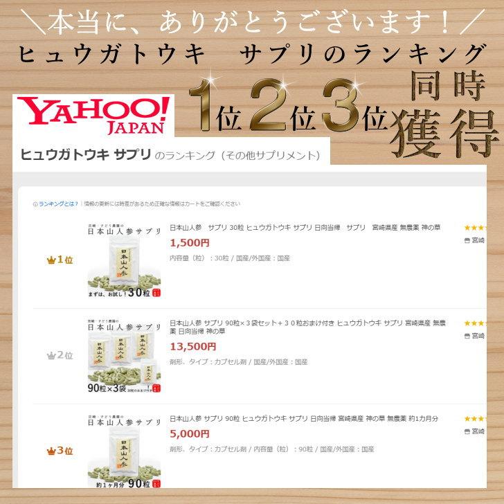 日本山人参 サプリ 90粒×3袋セット＋30粒おまけ付き ヒュウガトウキ