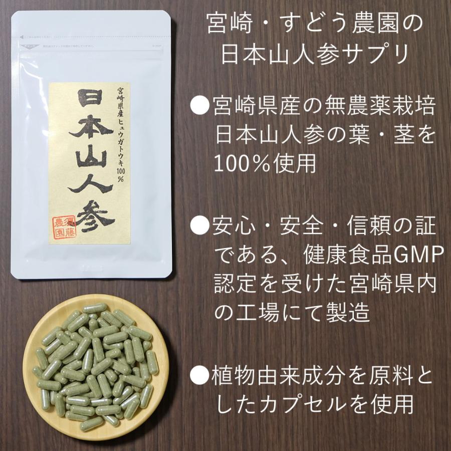 日本山人参 サプリ 90粒×3袋セット＋30粒おまけ付き ヒュウガ
