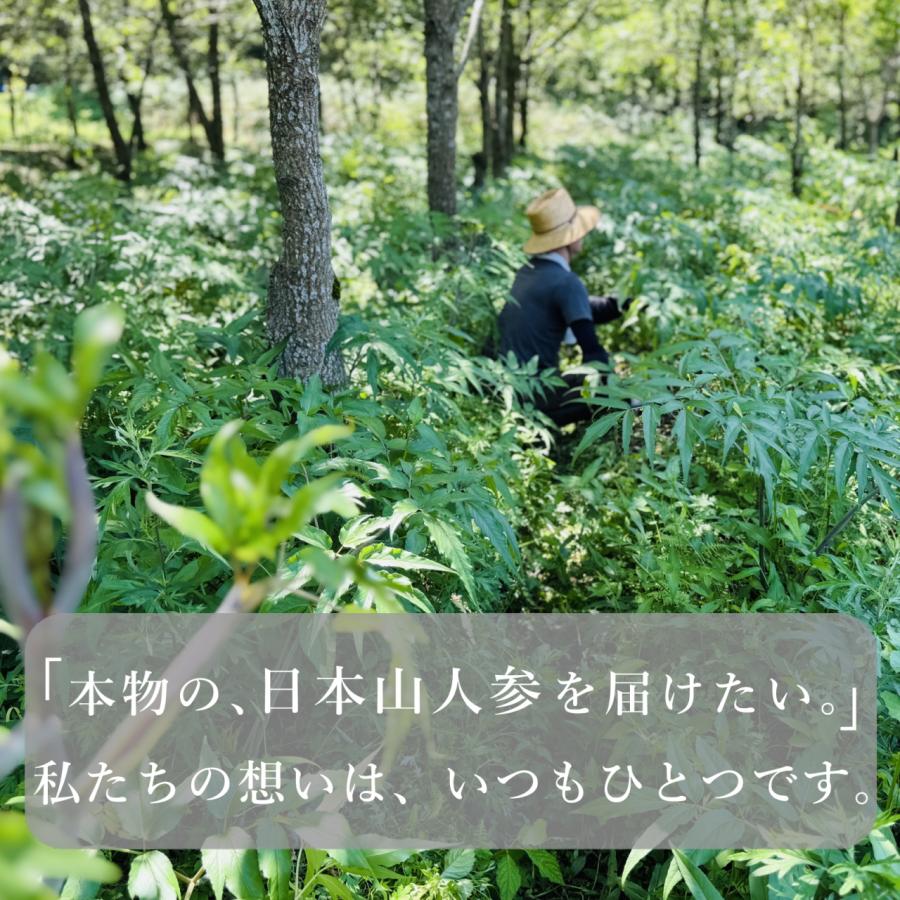 生産農家直送】日本山人参 サプリ 90粒 ヒュウガトウキ 日向当帰 宮崎