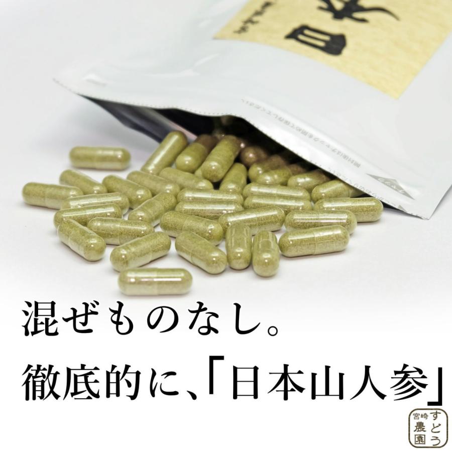 【44%OFF】リプサ 日本山人参粒 約6ヶ月分 ヒュウガトウキ サプリメント 日本山人参 サプリ 90粒 ヒュウガトウキ 日向当帰 宮崎県産 神の草 無