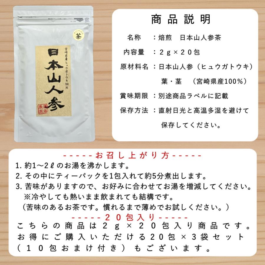 日本山人参茶 20包 ヒュウガトウキ茶 日向当帰茶 宮崎県産 無農薬 神の