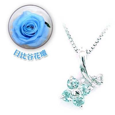 超目玉 3月誕生石k18ホワイトゴールド アクアマリンペンダント ネックレス 限定 日比谷花壇誕生色バラ付 今だけ手数料無料 最安値に挑戦 Kuljic Com