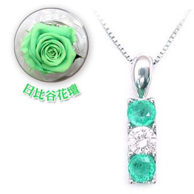新発売の 5月誕生石 プラチナ エメラルドペンダント ネックレス プレゼント 花 限定ギフト ブリザードフラワー 今だけ代引手数料無料 100 本物保証 Secretoftheislands Com