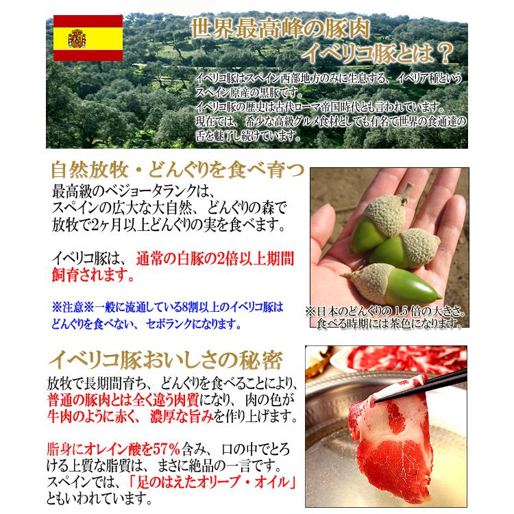 イベリコ豚 肩ロース ブロック 1kg 最高級ベジョータ 送料無料
