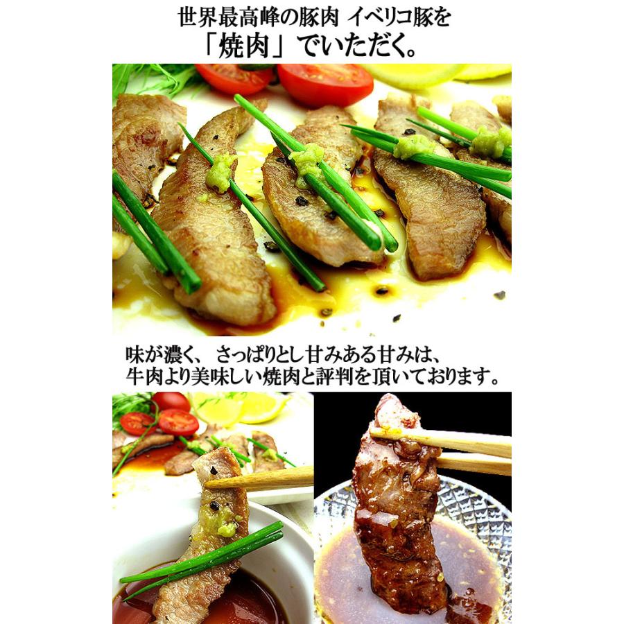 イベリコ豚 幻の大トロカルビ 800g セクレト 焼肉 豚肉 お肉 食品 食べ物 お取り寄せ 豚カルビ サムギョプサル｜suehiroya｜05