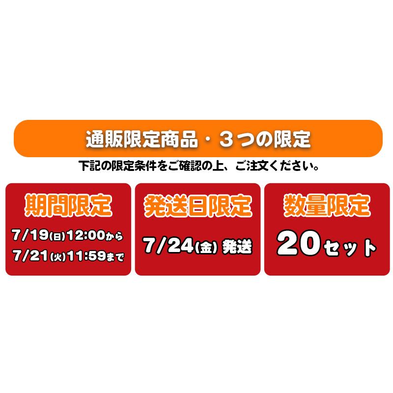 スガキヤ　辛辛魚つけ麺4食チャーシュー付 ご当地ラーメン すがきや スガキヤ 寿がきや  爆買 | 寿がきや | 06