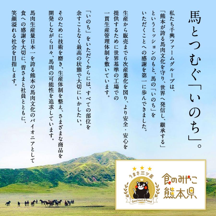 菅乃屋 お中元 ギフト プレゼント 馬刺し 馬肉 熊本 直送 スライス 