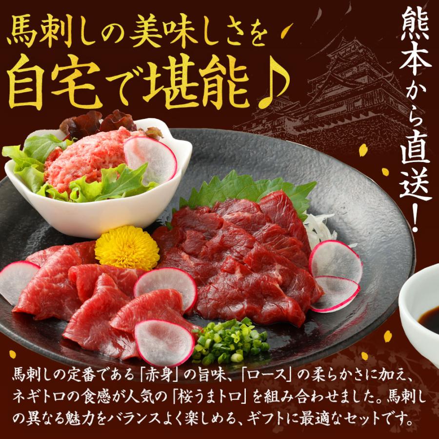 菅乃屋 ギフト プレゼント 馬刺し 馬肉 熊本 直送 王道3種食べ比べ