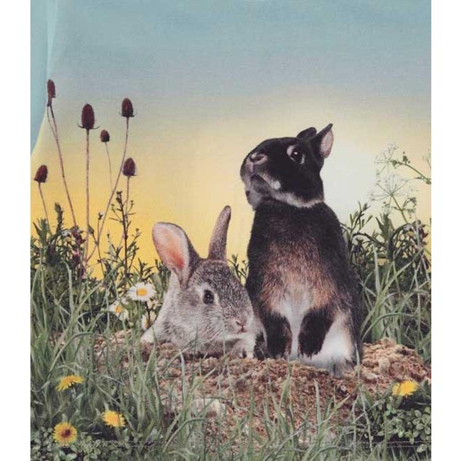 Molo（モロ) Eloy Rabbit Life ロングスリーブTee（size74〜size104)｜sugardays｜06