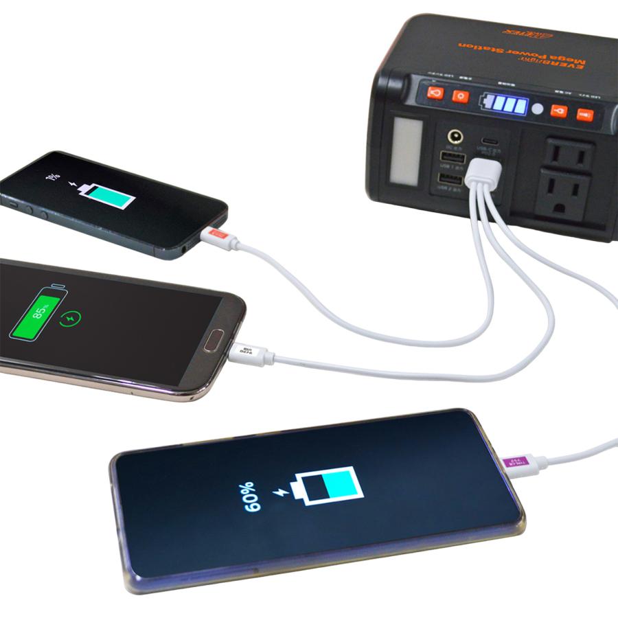 EVERBright エバーブライト ポータブル電源 蓄電池 充電器 大容量