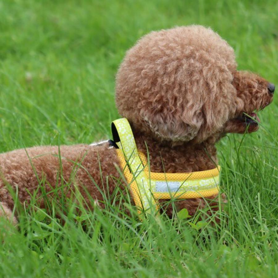 ハクサン hakusan 犬 ハーネス ベルト 小型犬 中型犬 大型犬 持ちやすい ベーシック シングル ジャストフィットドラゴンハーネス アロハメッシュ｜sugaronlineshop｜09