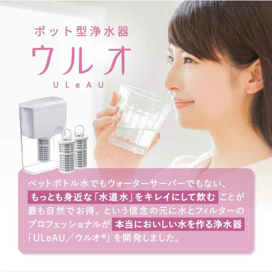 ULeAU（ウルオ） 浄水器 交換用フィルターカートリッジ 2点セット 浄水