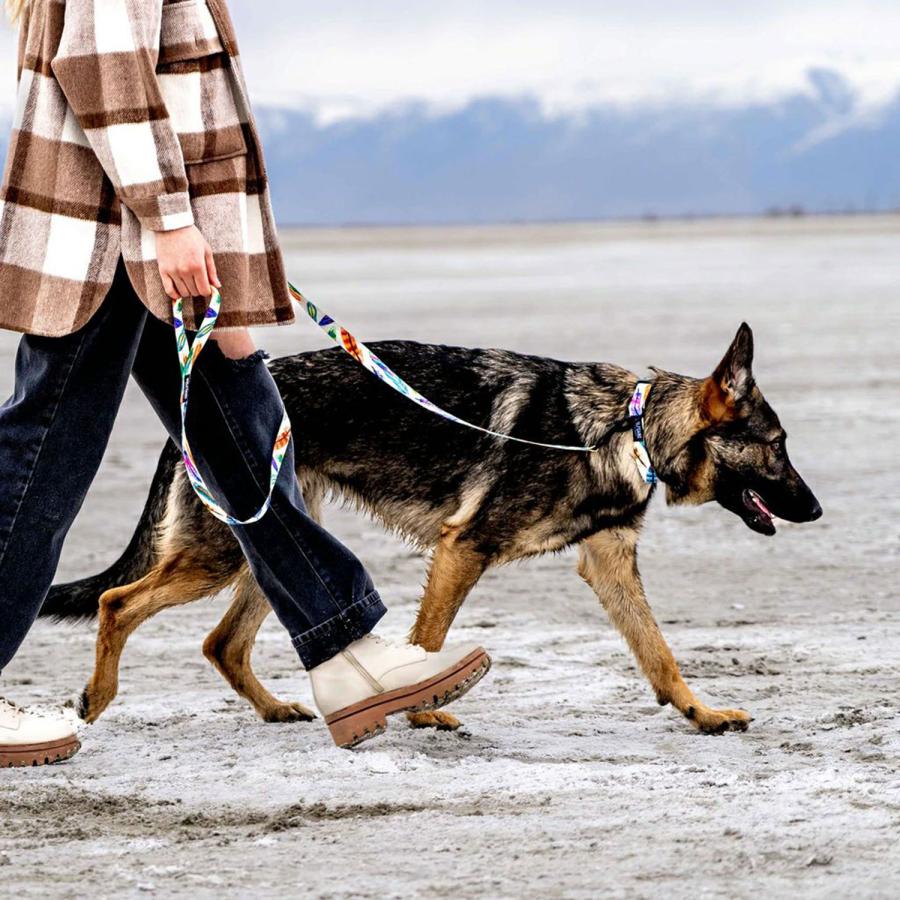 WOLFGANG ウルフギャング 首輪 犬用品 中型犬 Mサイズ カラー COLLAR マン&ビースト MAN&BEAST｜sugaronlineshop｜19