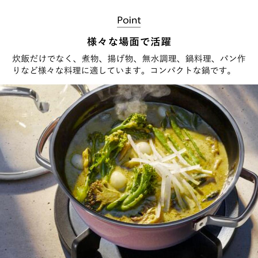 WMF（ヴェーエムエフ） 特典付き 鍋 両手鍋 フュージョンテック