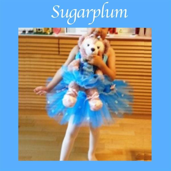 人気が高い シェリーメイバレエコスチューム チュチュブルーフリルセット 新規購入 Kuljic Com