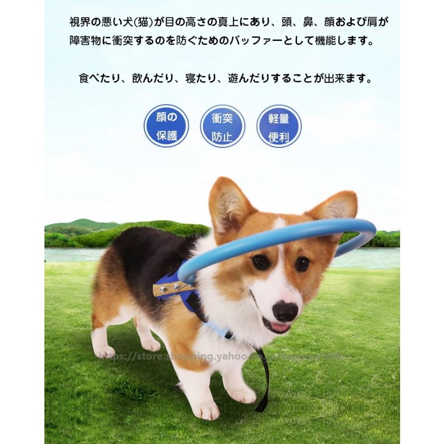 盲犬杖 軽量 脱着しやすい 小型犬 中型犬 大型犬 猫用品盲目リング ペット用 アイ フェイスガード ペット用介護用品 白内障 視覚障害 猫 犬 ねこ いぬ 9043 菅原 通販 Yahoo ショッピング