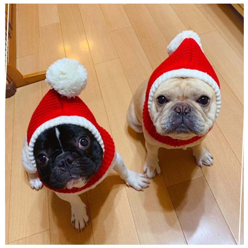 5size選べる秋冬季 犬猫用コスプレ ペット 被り物 ペット帽子 ニット帽子 サンタクロース 猫 犬 クリスマス 秋冬 防寒 犬猫用ウィッグ 猫被り物 ペット 9077 菅原 通販 Yahoo ショッピング