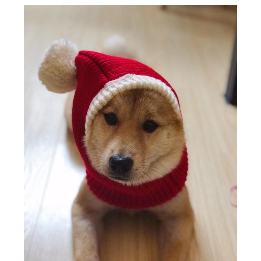 5size選べる秋冬季 犬猫用コスプレ ペット 被り物 ペット帽子 ニット帽子 サンタクロース 猫 犬 クリスマス 秋冬 防寒 犬猫用ウィッグ 猫被り物 ペット 9077 菅原 通販 Yahoo ショッピング