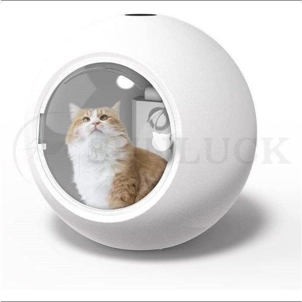 乾燥箱 乾燥ハウス ドライルーム 全自動ドライヤー犬 猫ドライルーム 楽天市場】【SPセール先行スタート♪23％OFF】ドライヤーハウス