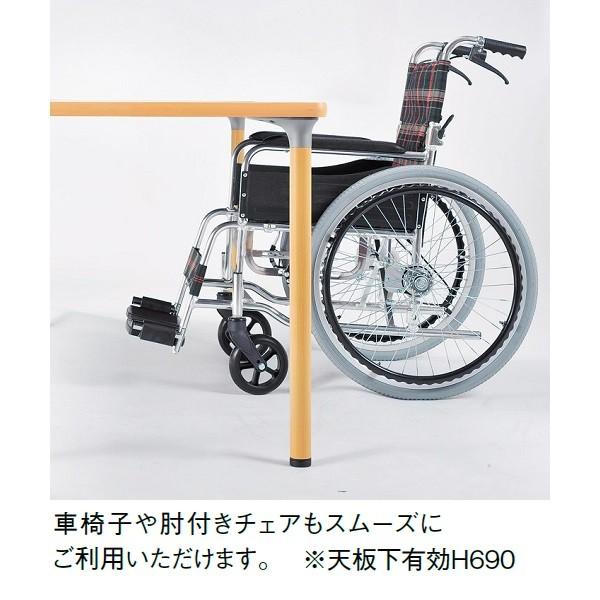福祉施設用テーブル 介護施設用テーブル W1200×D750×H720mm お客様組立 受注生産品 FMD-1275_2