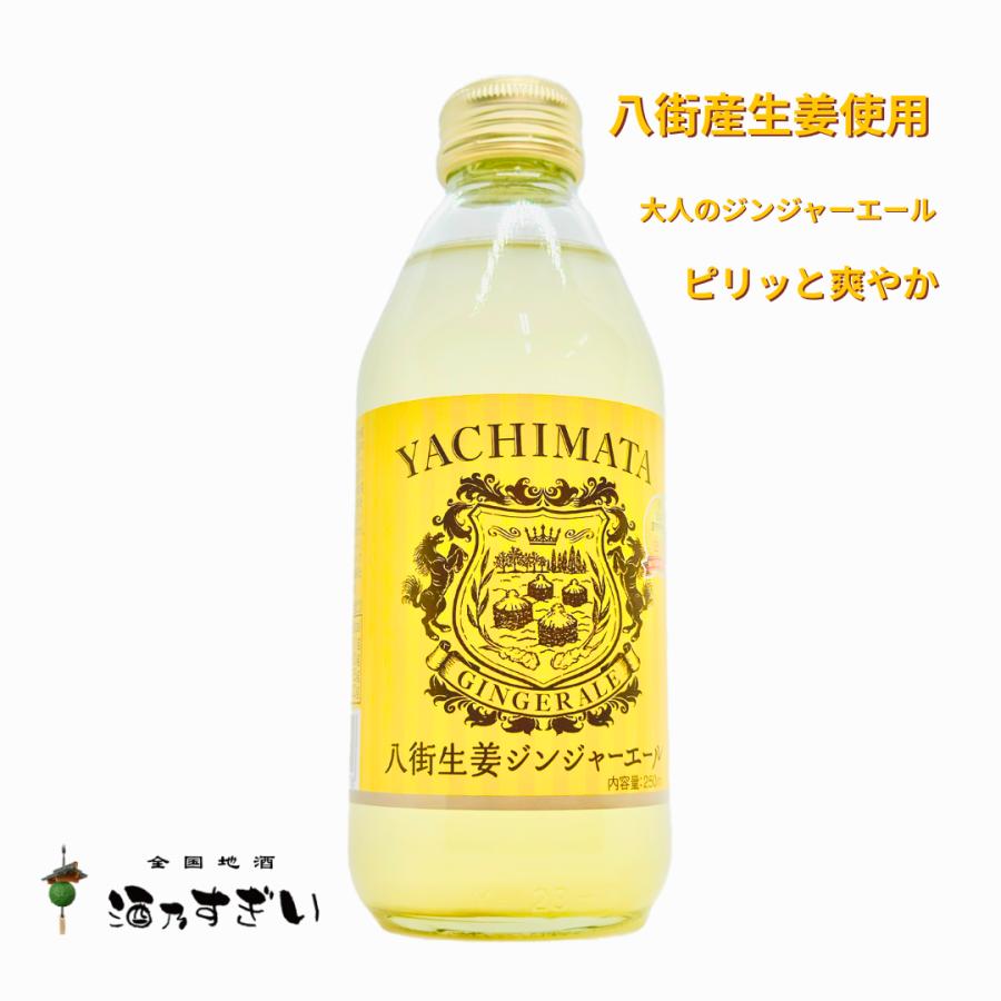 八街生姜ジンジャーエールライト – 房総の駅 とみうら 八街生姜ジンジャーエール 250ml 24本セット　千葉県