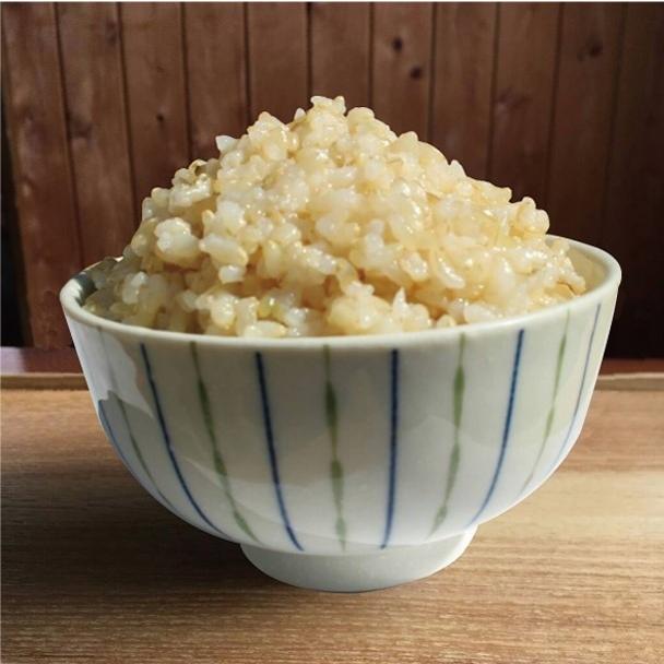 新米 キヌヒカリ 玄米 30キロ 兵庫県産