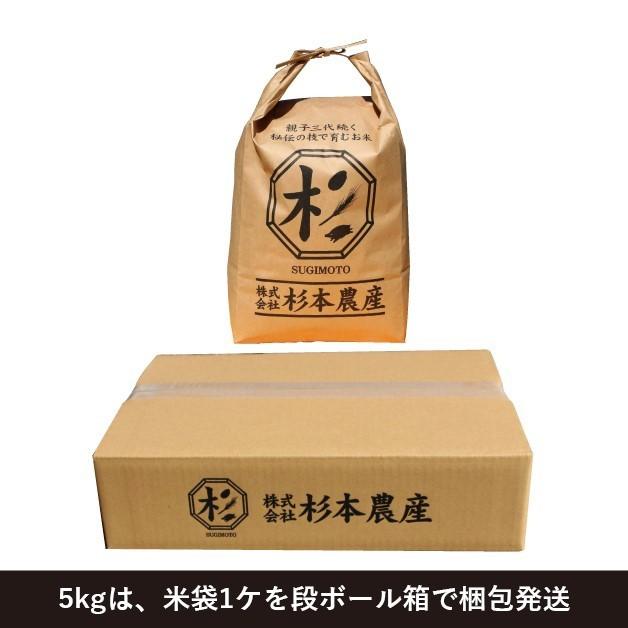 令和5年度産　キヌヒカリ　玄米　5kg　兵庫県産　送料無料｜sugimoto-agr｜02