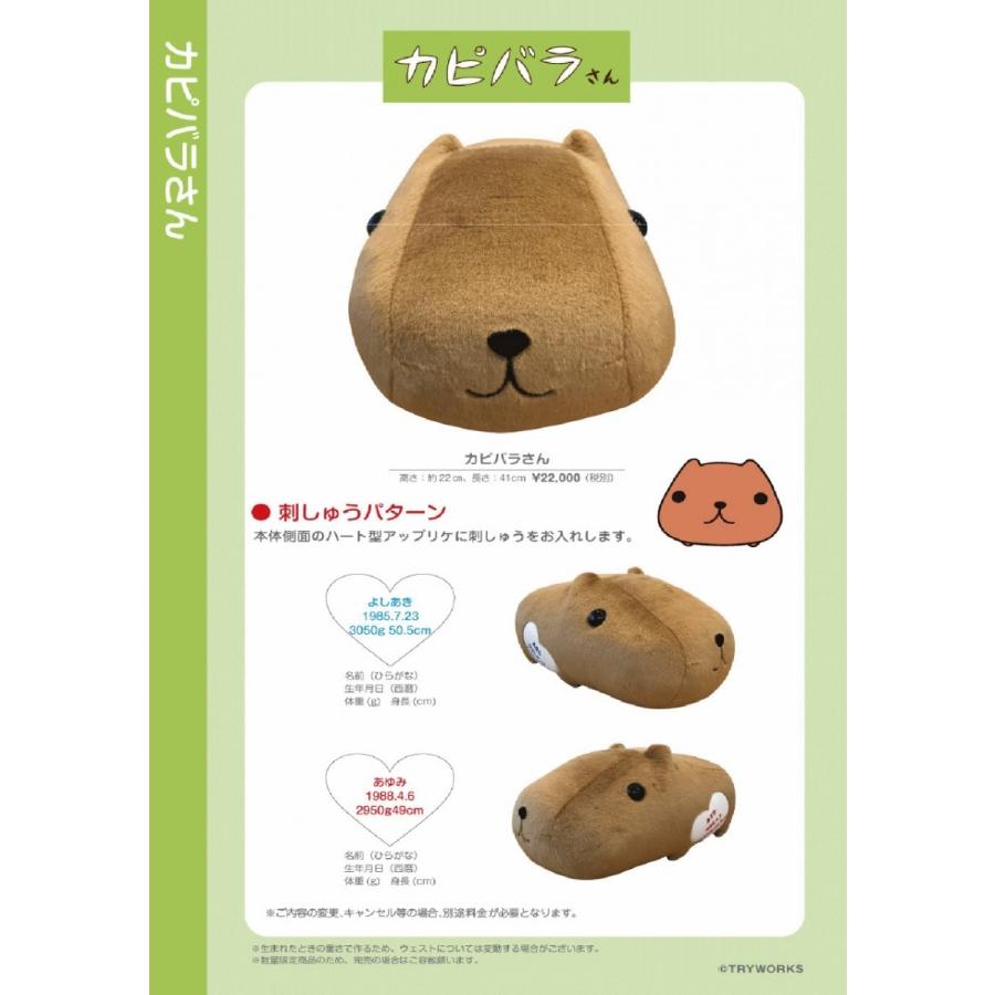 レビューで送料無料 カピバラさん 人気ブランドを Zoetalentsolutions Com