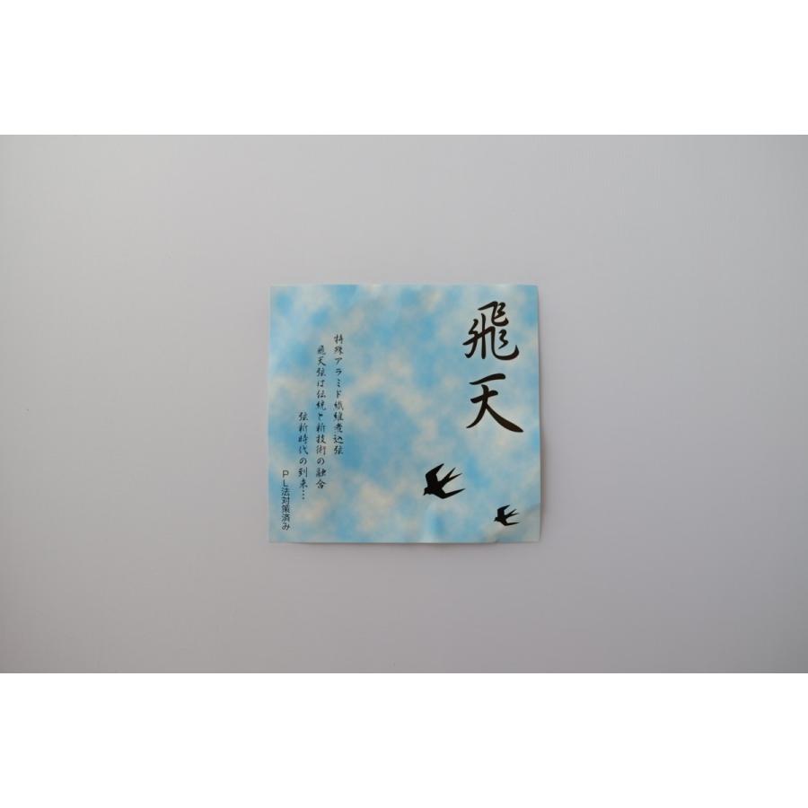 飛天（2本入）【並寸・二寸伸】◇クリックポスト利用可◇ : 杉山正宗