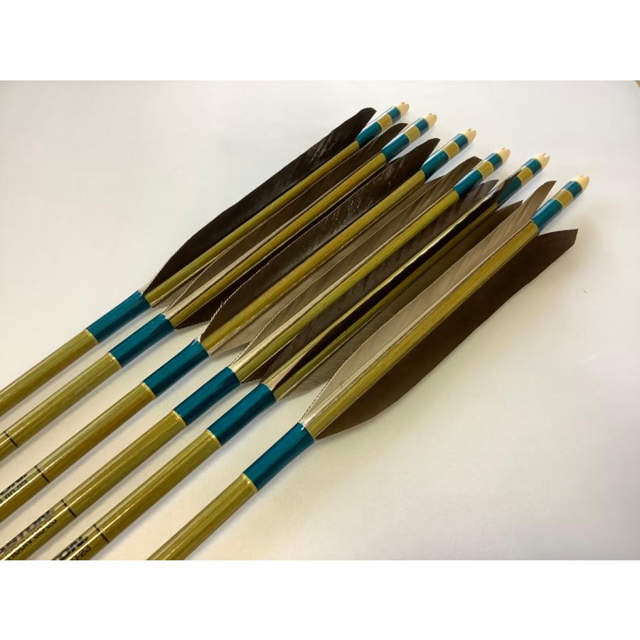 黒手羽 訳あり グリーンカーボン矢6本セット 80-23 青緑色糸 : 杉山