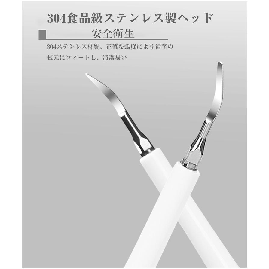 口腔洗浄器 超音波 電動歯ブラシ 歯石取り 口腔ケア IPX7防水 5段モード 口臭防止 歯周 歯間のクリーニング 超音波歯クリーナー 歯垢クリーニングキット｜sugoyi-store｜12