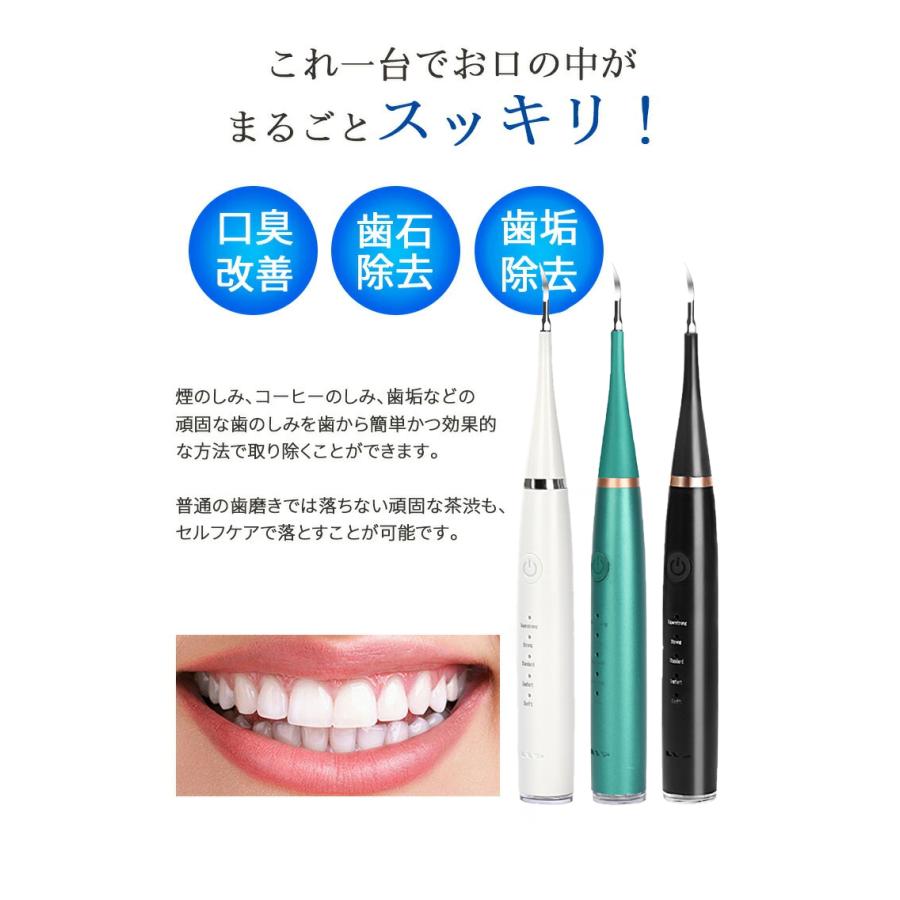 Britex ブライテックス　超音波口内健康器　電動歯ブラシ ドリテック 電動歯ブラシ 音波式 防水 タイマー機能 口腔ケア 歯垢取り