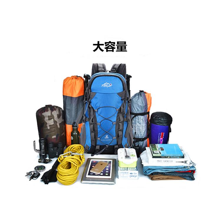 登山 リュック バックパック 40L ザック アウトドア 旅行用 バッグ