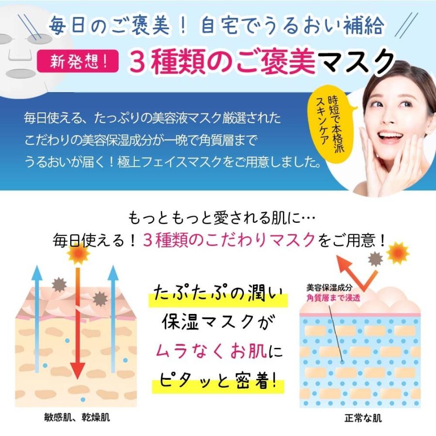 ステイフリー パック フェイスマスク シートパック ガラクトミセス 1袋