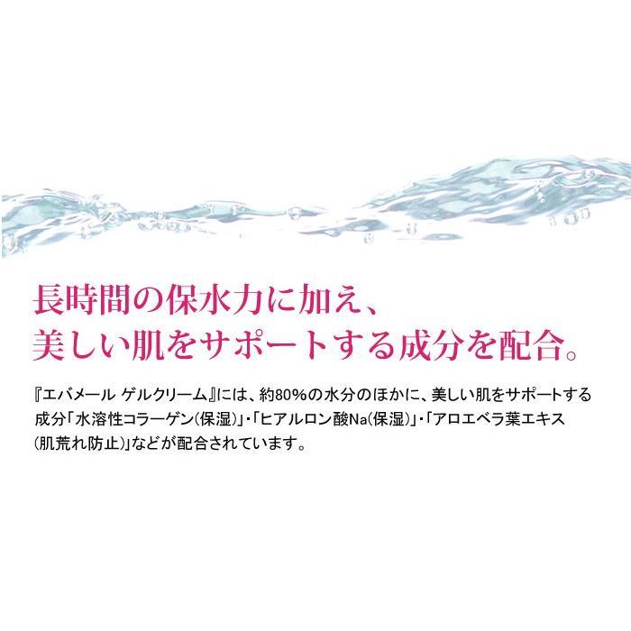 正規品 エバメール オールインワンゲル クリーム 詰替え用 500g S ２個セット レフィル 詰替 Ｓタイプ 保湿クリーム 宅配便専用｜suhada｜05