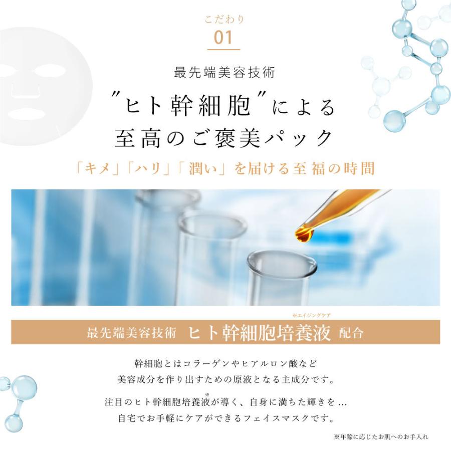 ステイフリー オールインワン ゲル パック シートマスク セット ヒト