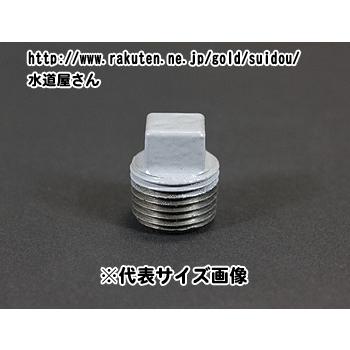 水道用 樹脂コート鋼管継手 Pl継手 止水プラグ 1 1 4インチ 呼び32a配管用 R1 1 4ネジ C P32 水道屋さん 通販 Yahoo ショッピング