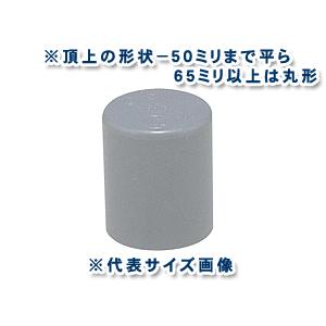 給水用 硬質塩化ビニール継手 Tsキャップ 呼び75ミリ Ts C75 水道屋さん 通販 Yahoo ショッピング