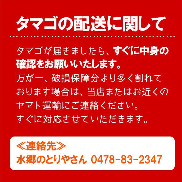 鶏卵 贈答用 放し飼い自然卵 一番鶏 20個詰 （＋破損保障分4個） ギフト箱入り 御歳暮（お歳暮）ギフト｜suigodori｜12