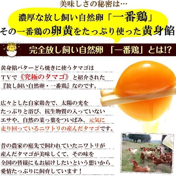 どら焼き 黄身餡バターどら焼き10個入 ギフト 和菓子 プレゼント 父の日 贈答 | 水郷のとりやさん | 02