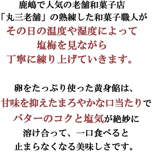 どら焼き 黄身餡バターどら焼き10個入 ギフト 和菓子 プレゼント 父の日 贈答 | 水郷のとりやさん | 04