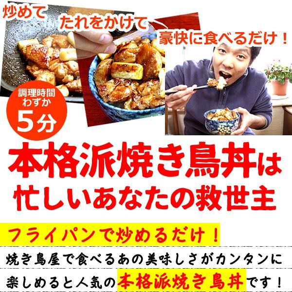 焼き鳥お試しセット ミールキット 送料無料 トリ逃がすなセット5点セット 焼き鳥 ローストチキン 唐揚げ（からあげ・から揚げ） 国産 冷蔵（冷凍）｜suigodori｜07