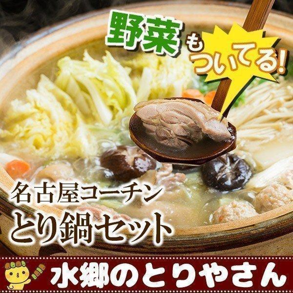 お鍋セット 名古屋コーチンとり鍋セット 水炊き 鳥鍋（野菜付き） 名古屋コーチン コーチン鍋 地鶏 送料無料 / 冷蔵限定配送 | 水郷のとりやさん